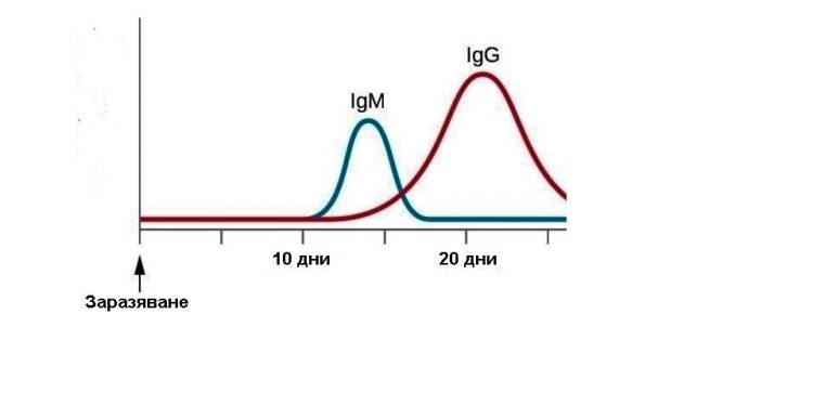Нужни са повече изследвания за новия коронавирус