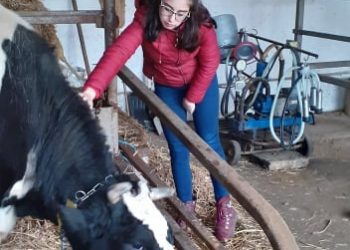 Накъде след професионалното