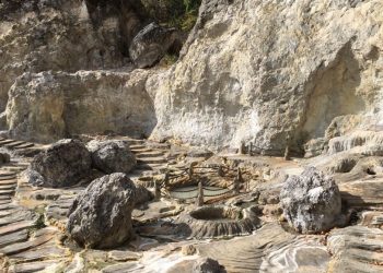 Микроби рециклират въглерод