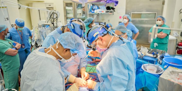 Успешна трансплантация  на свински сърца