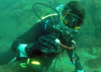 Нови археологически открития в Черно море