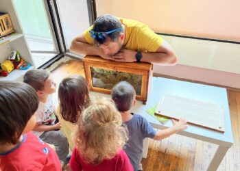 Пчели на гости в детската градина