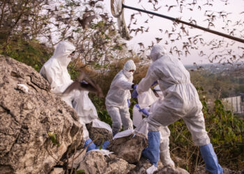 Нов институт в Тракийския университет