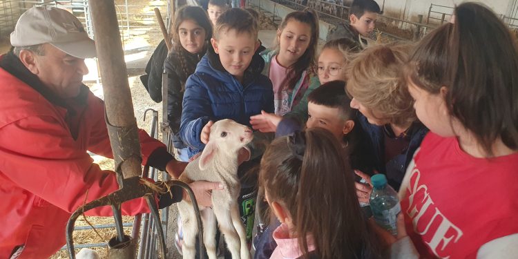 Срещи  във фермата