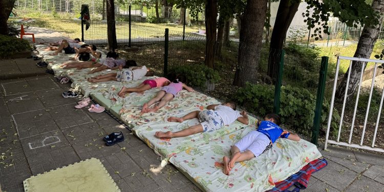 Дрямка в двора на 79. ДГ „Слънчице“