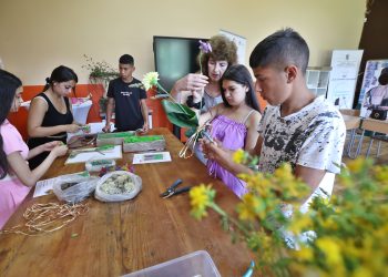 Как се създават хотели за насекоми